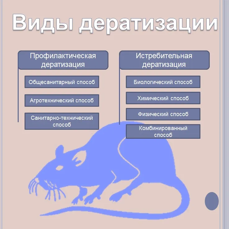 Виды дератизации - Фото от компании