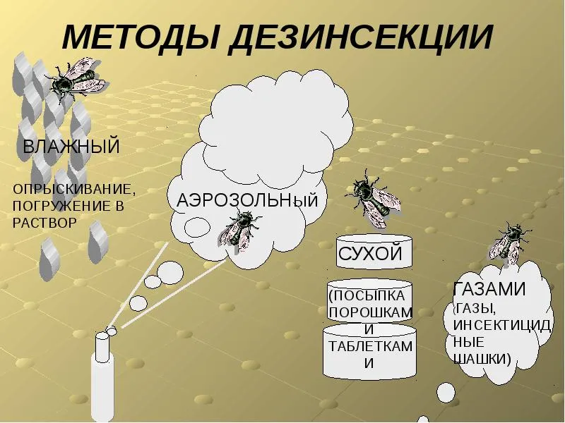 Интересная информация службы дезинсекции - Услуги дезинсекции