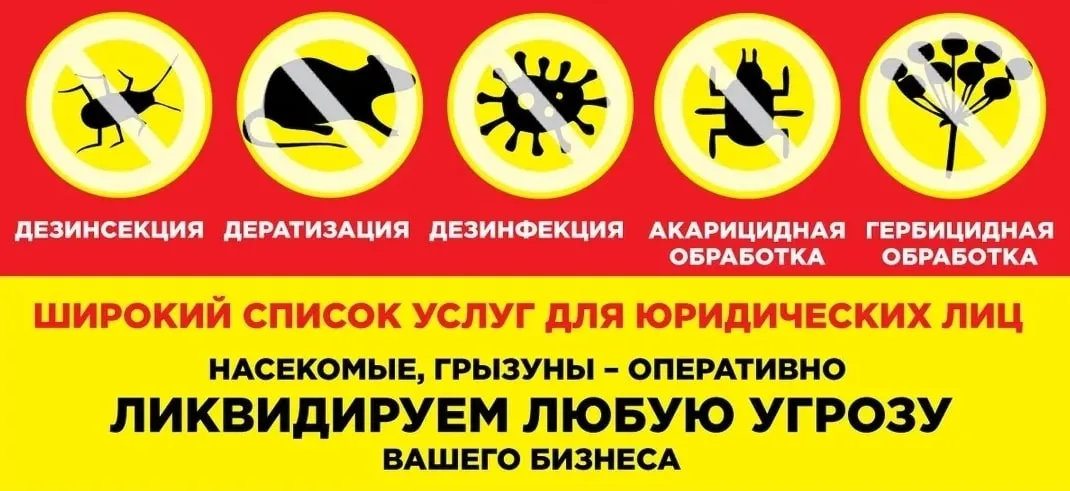 Уничтожение насекомых в Новосибирске