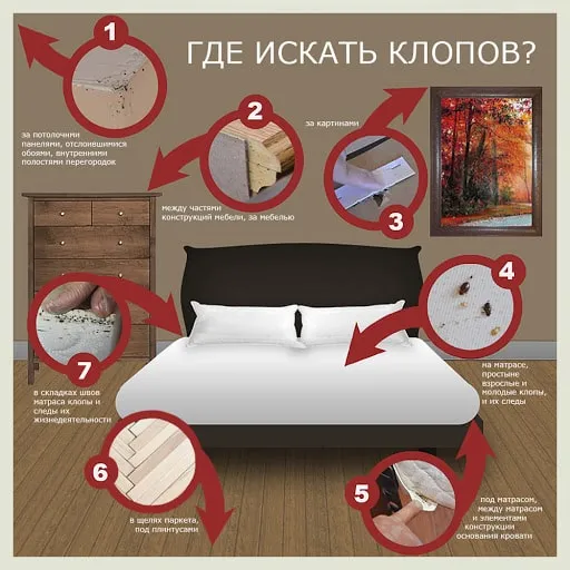 ТРАВЛЯ ПОСТЕЛЬНЫХ КЛОПОВ